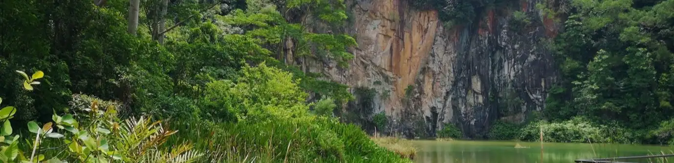 profile header image