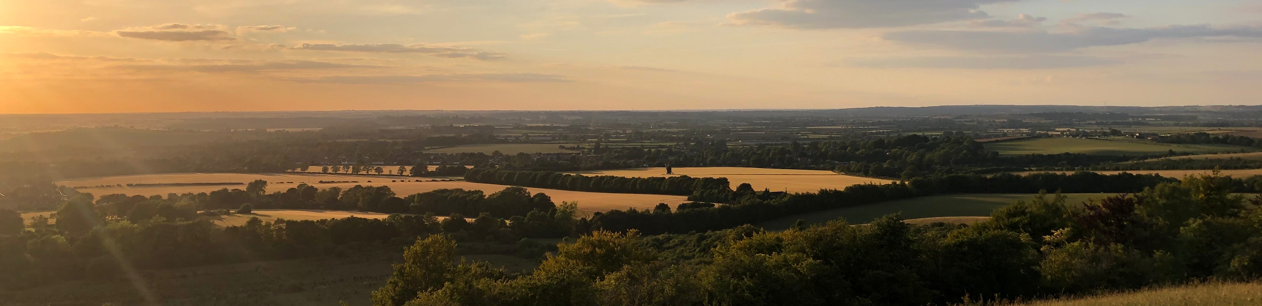 profile header image