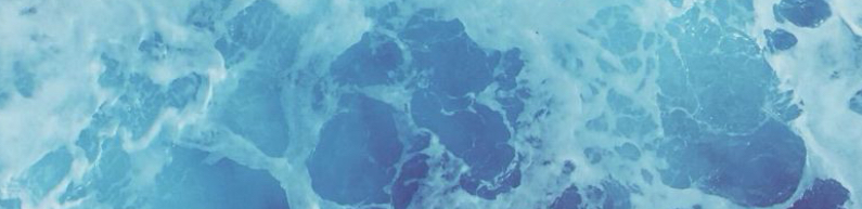 profile header image