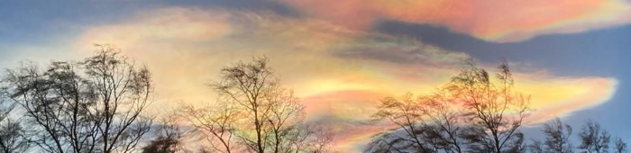 profile header image