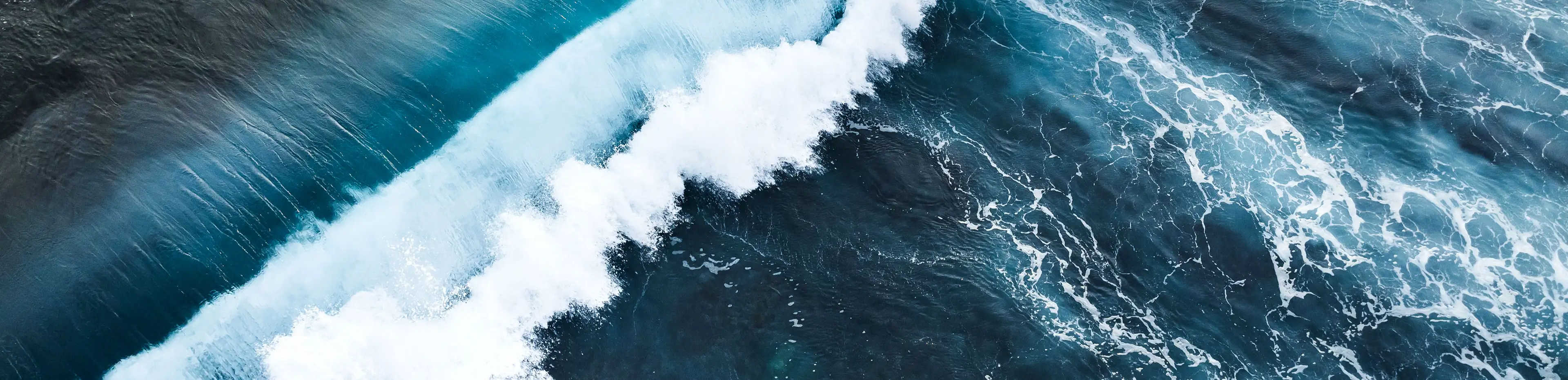 profile header image