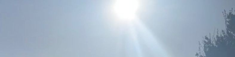 profile header image