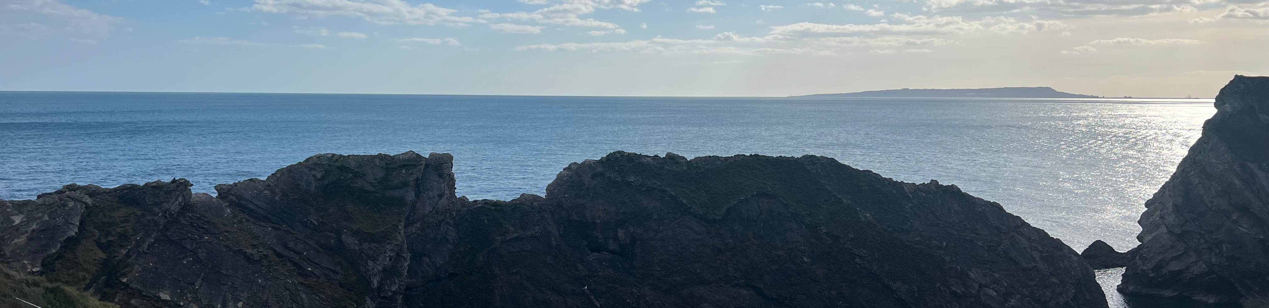 profile header image