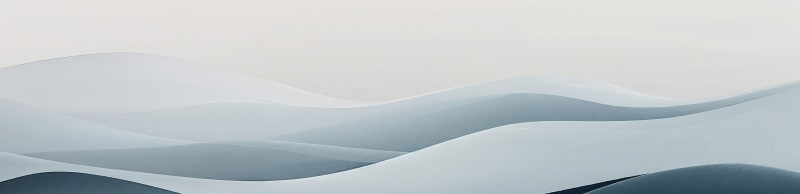 profile header image