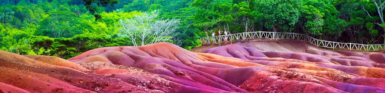 profile header image