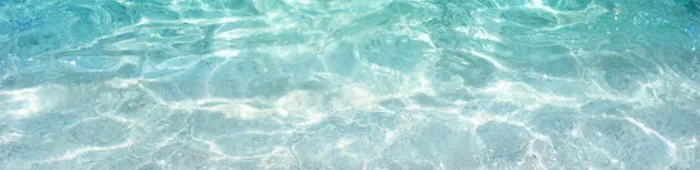 profile header image