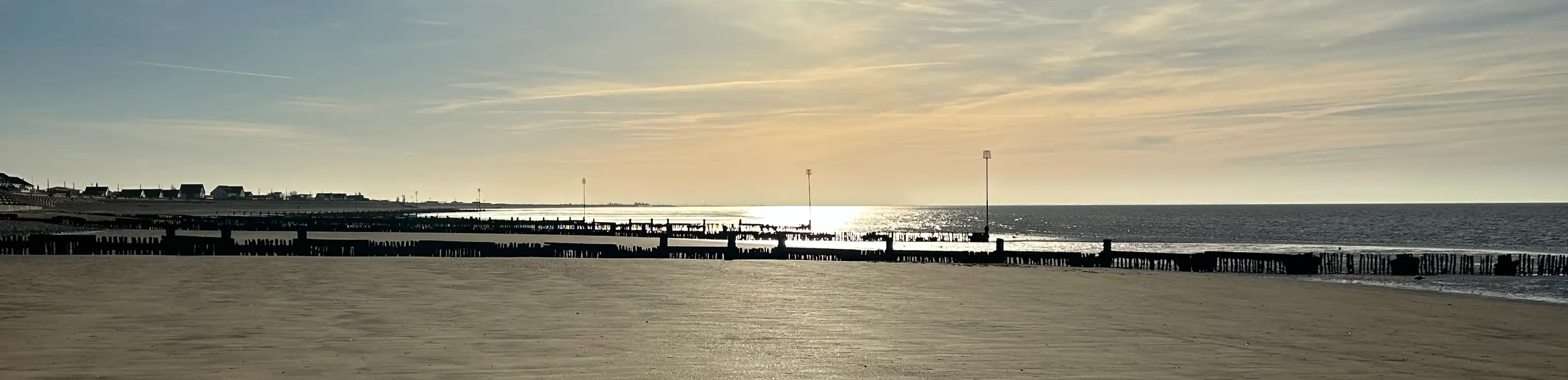 profile header image