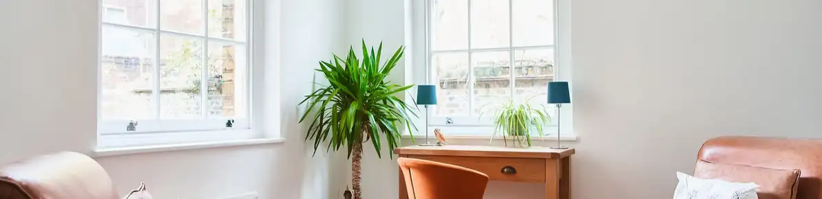 profile header image