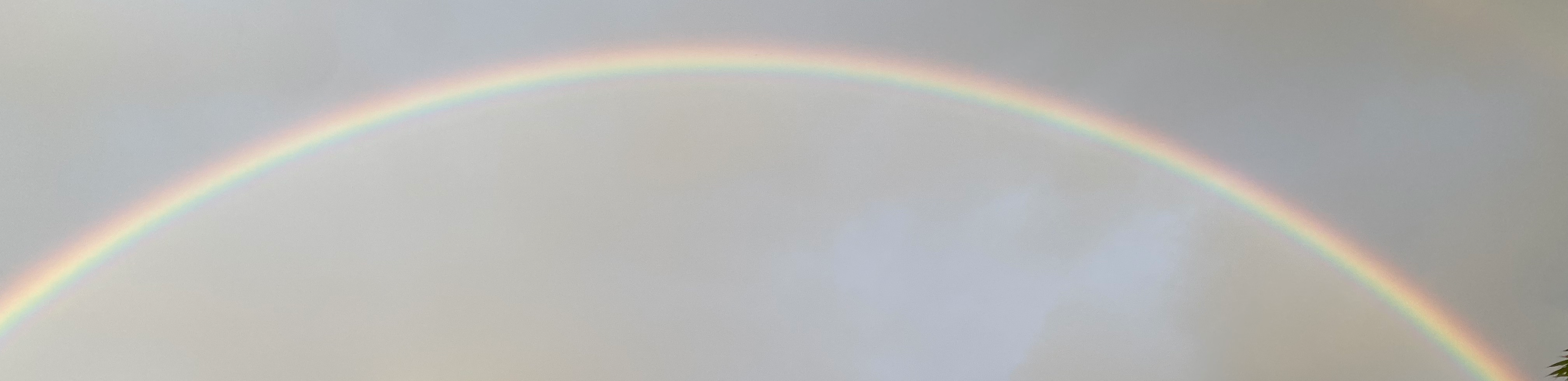 profile header image