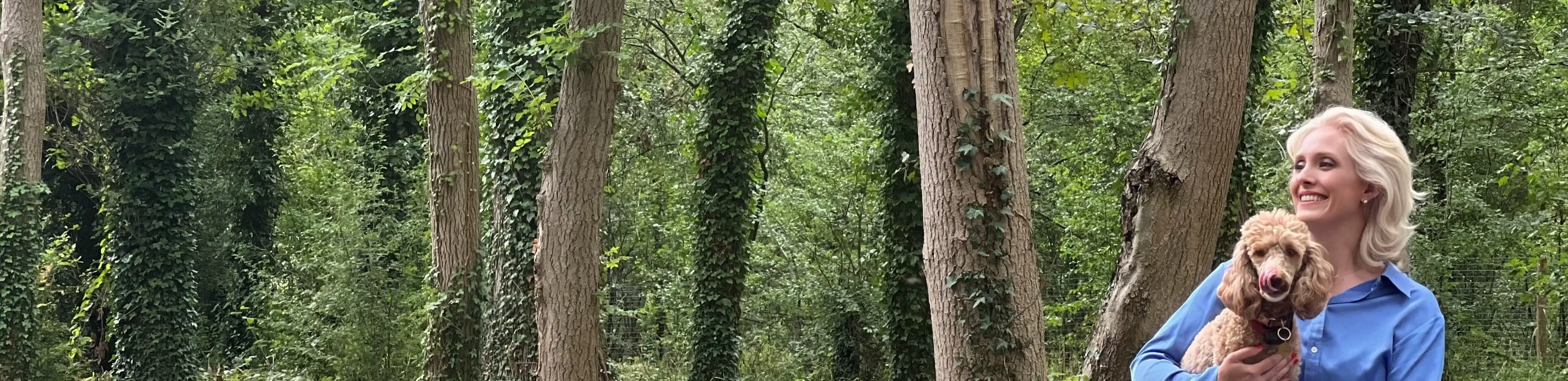 profile header image