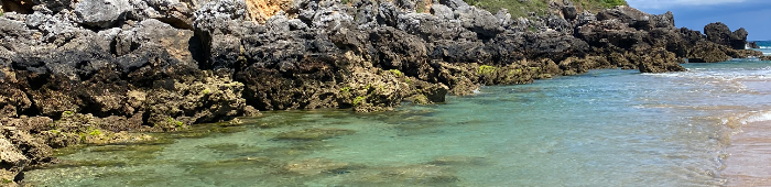 profile header image